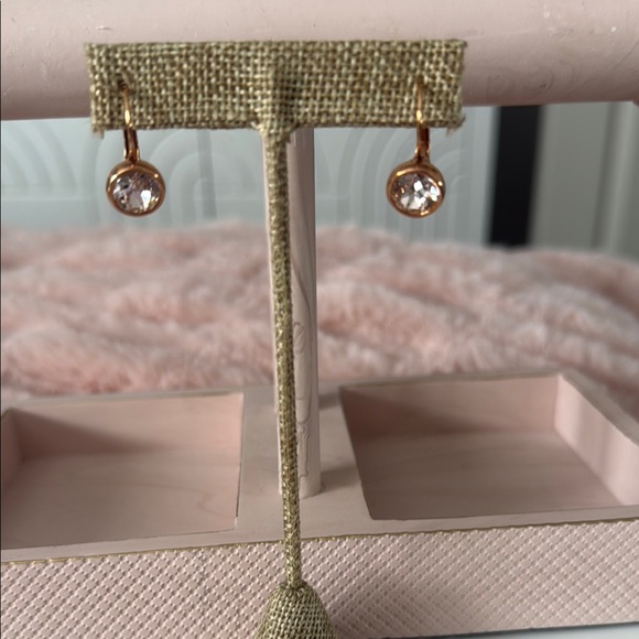Touchstone Crystal by Swarovski Rose Gold Drop Earrings with Clear Crystal - Picture 1 of 5